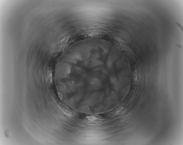 X0000100920703200807011307