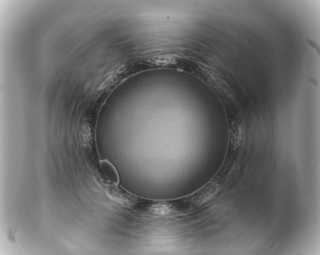 X0000100920704200807011307