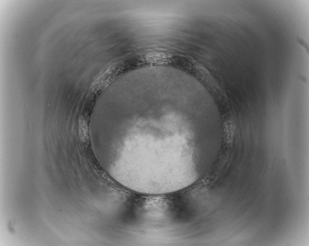 X0000100920705200807011307