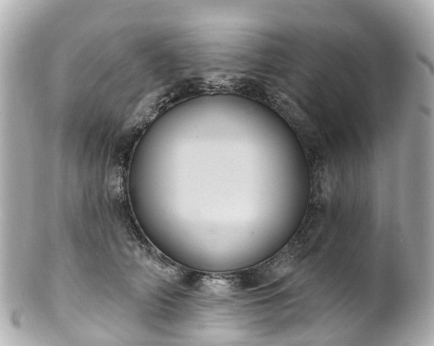 X0000100920706200807011307