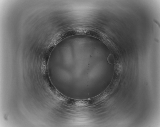 X0000100920707200807011307