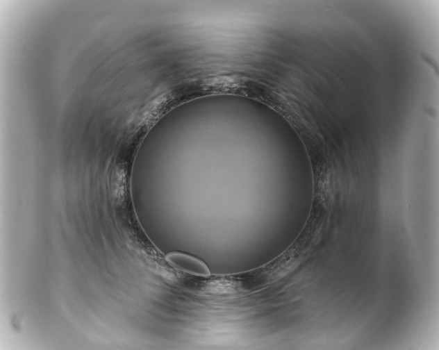 X0000100920708200807011307