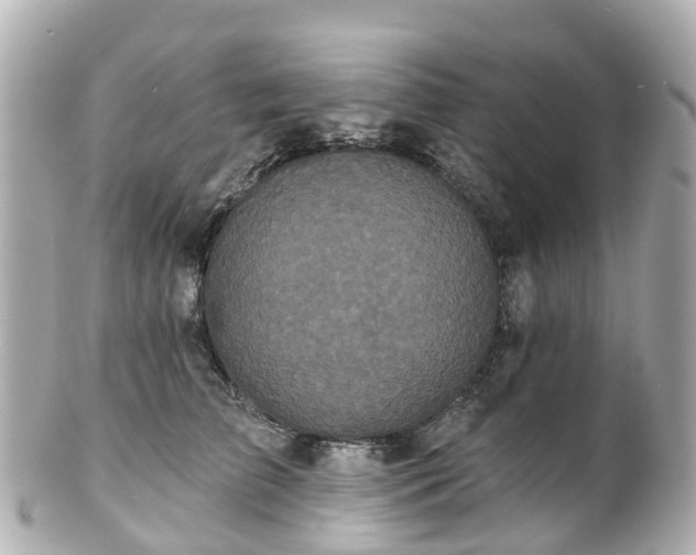 X0000100920709200807011307