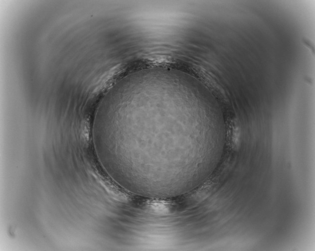 X0000100920710200807011307