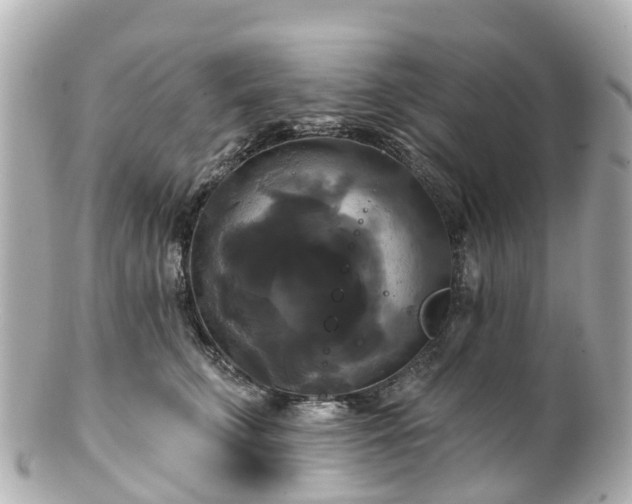 X0000100920711200807011307