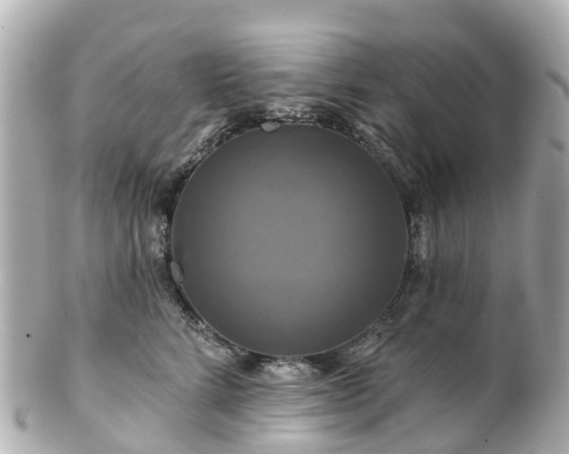 X0000100920712200807011307