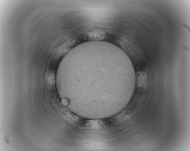 X0000100920713200807011307