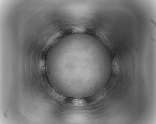 X0000100920714200807011307