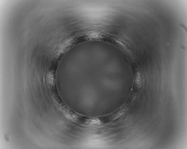 X0000100920715200807011307