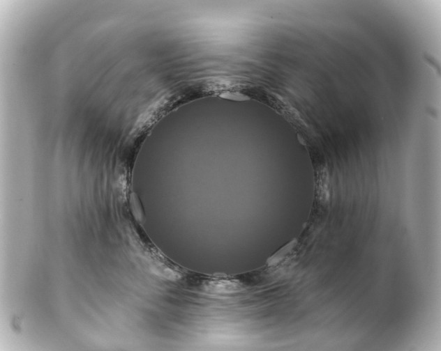 X0000100920716200807011307