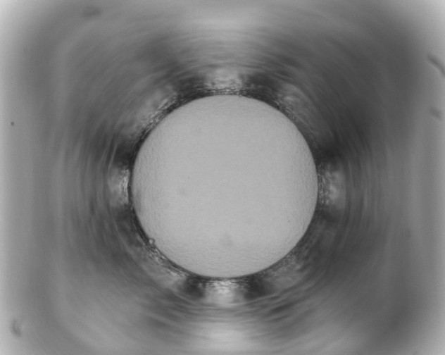 X0000100920717200807011307