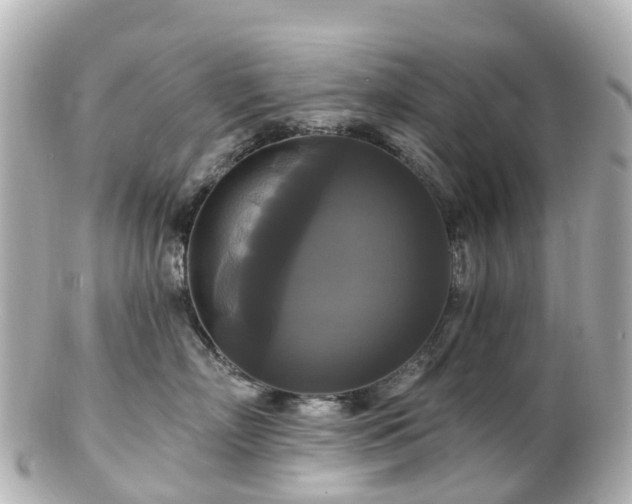 X0000100920718200807011307