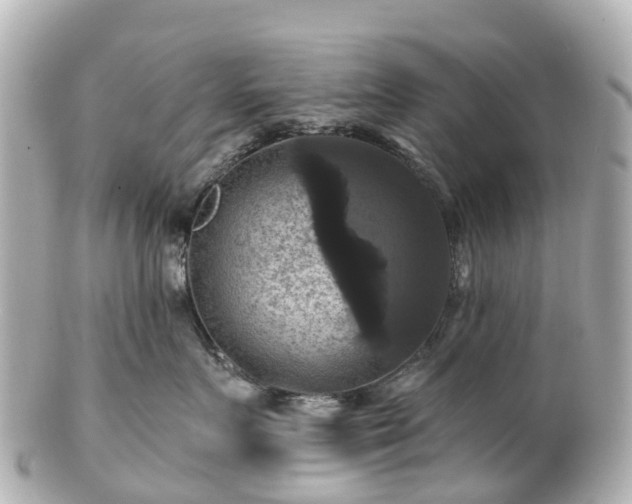 X0000100920719200807011307