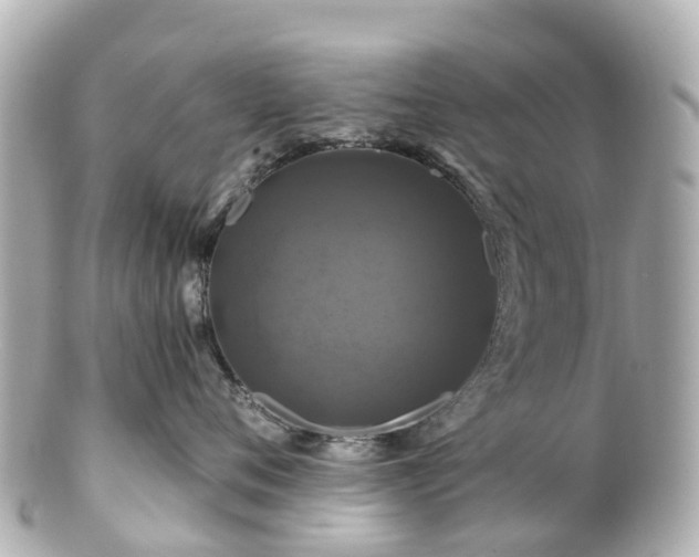 X0000100920720200807011307