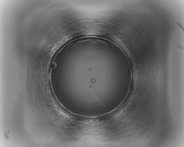 X0000100920721200807011306