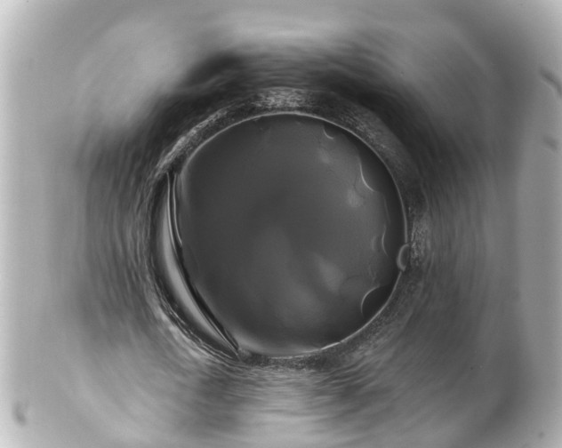 X0000100920722200807011306