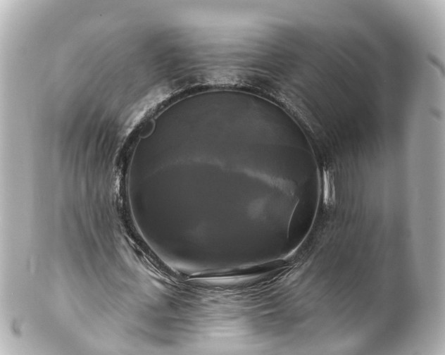 X0000100920723200807011306