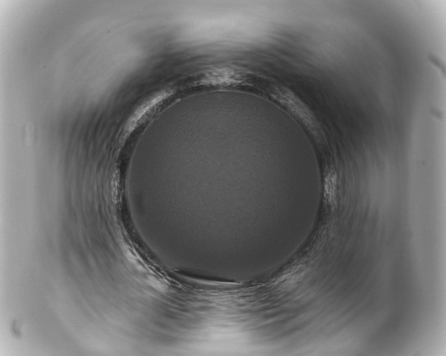 X0000100920724200807011306