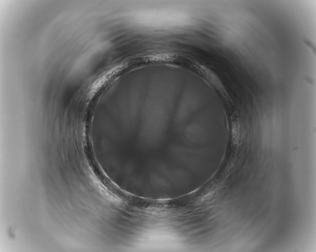 X0000100920725200807011306