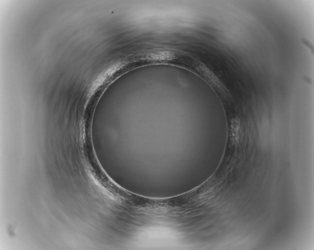 X0000100920726200807011306