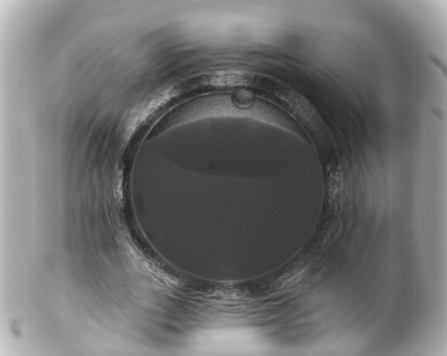 X0000100920727200807011306