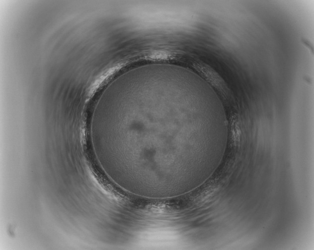 X0000100920728200807011306