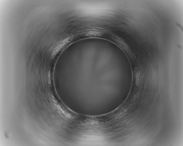 X0000100920729200807011306