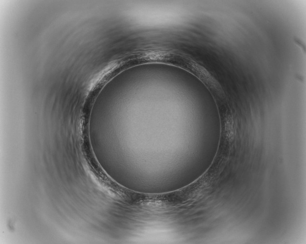 X0000100920730200807011306