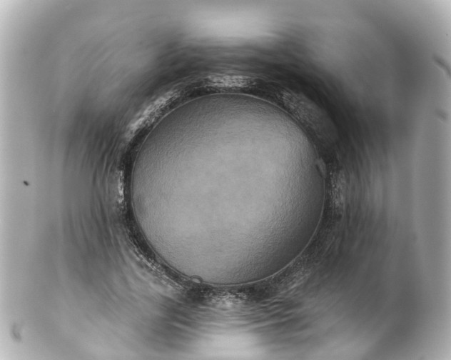 X0000100920731200807011306