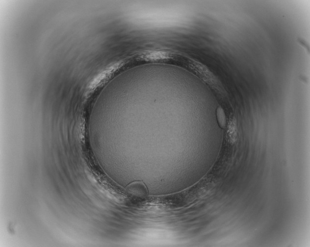 X0000100920732200807011306