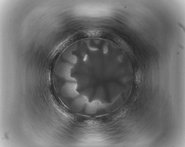 X0000100920733200807011306