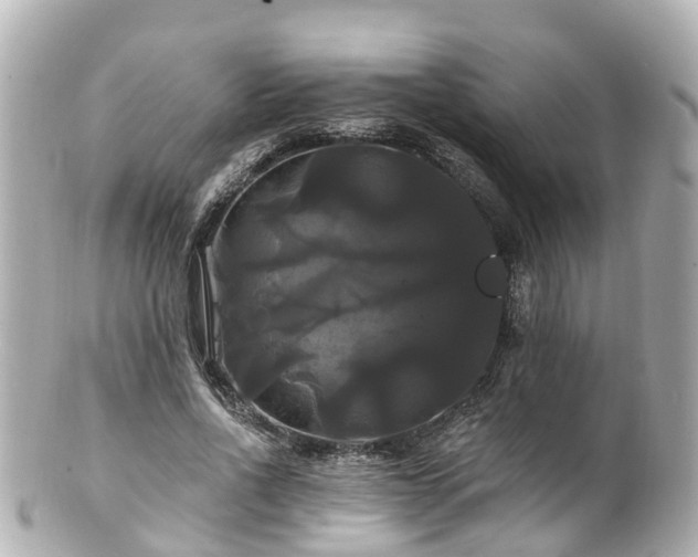 X0000100920734200807011306