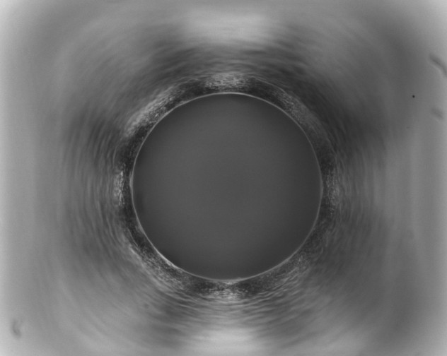 X0000100920735200807011306