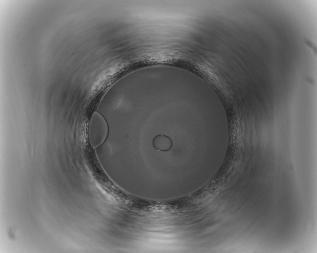 X0000100920736200807011306