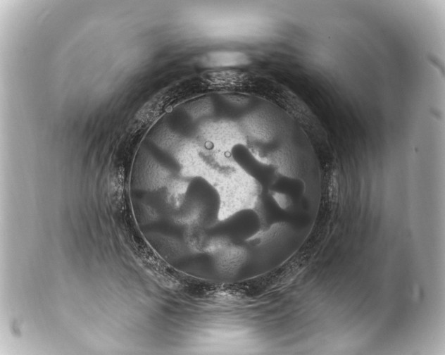 X0000100920737200807011306