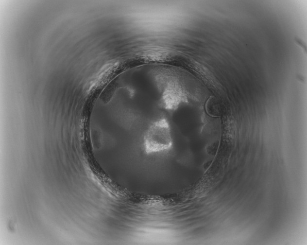 X0000100920738200807011306