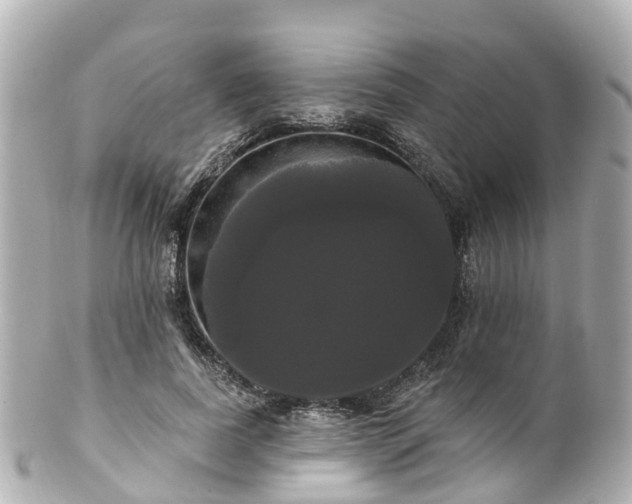 X0000100920739200807011306