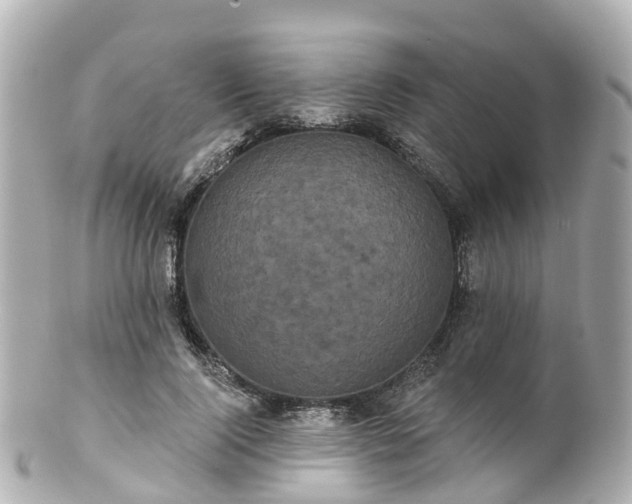 X0000100920740200807011306