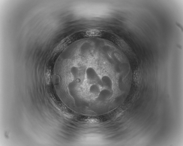 X0000100920741200807011306