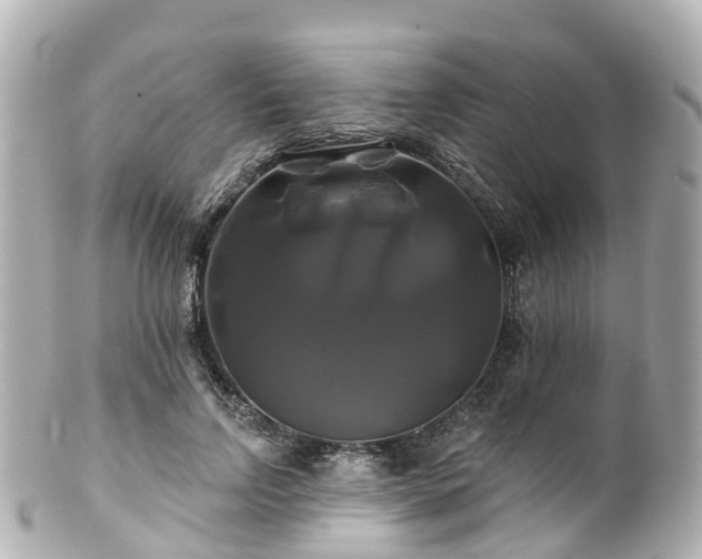 X0000100920742200807011306