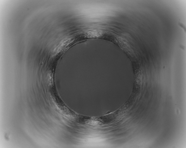 X0000100920743200807011306