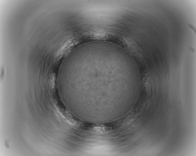 X0000100920744200807011306