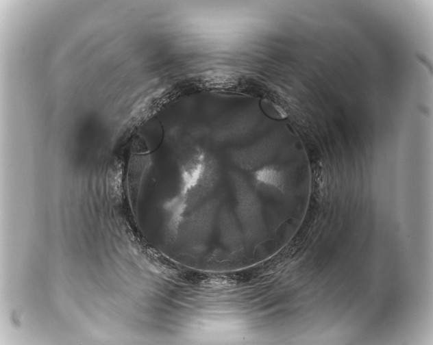 X0000100920745200807011306