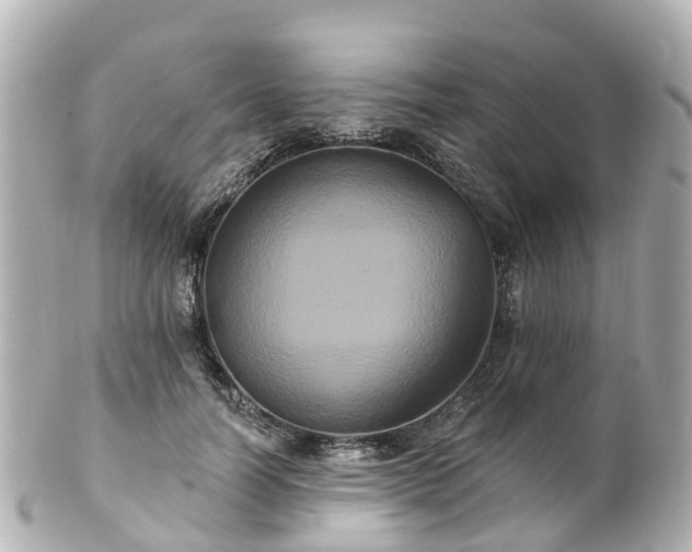 X0000100920746200807011306