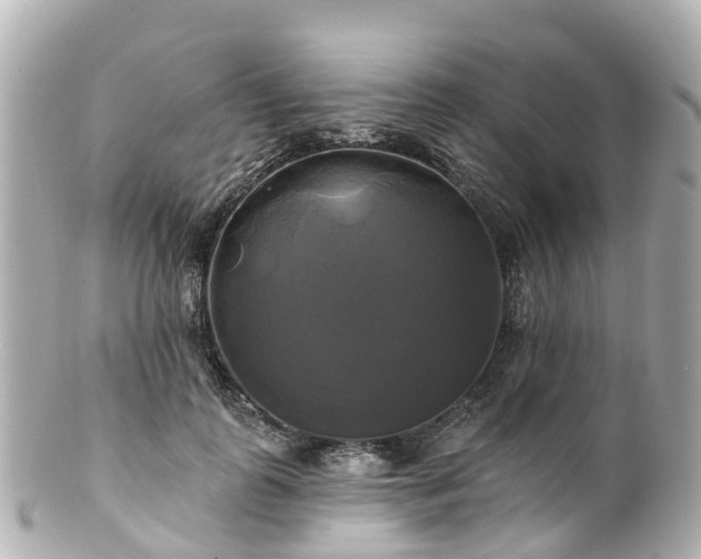 X0000100920747200807011306