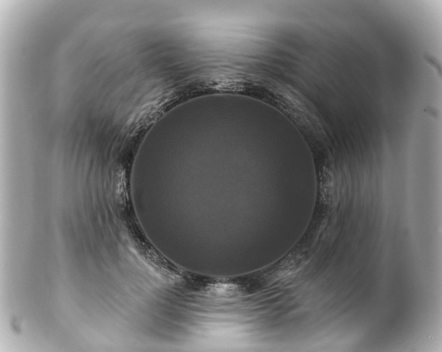 X0000100920748200807011306