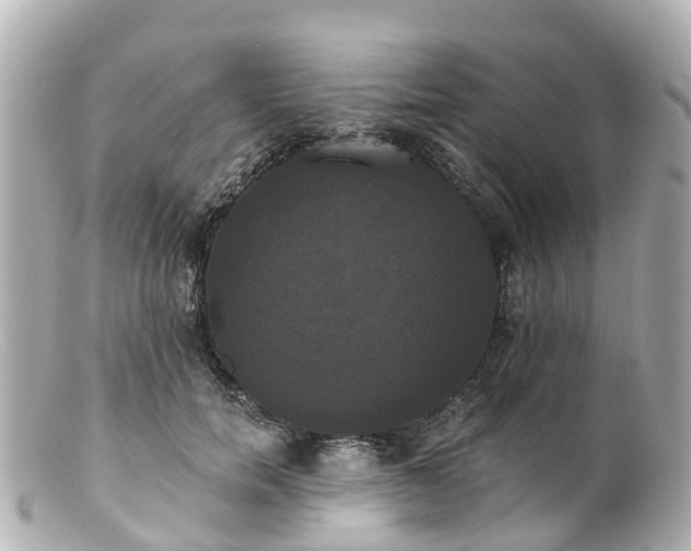 X0000100920750200807011306