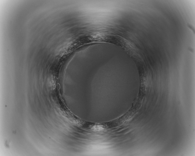 X0000100920751200807011306