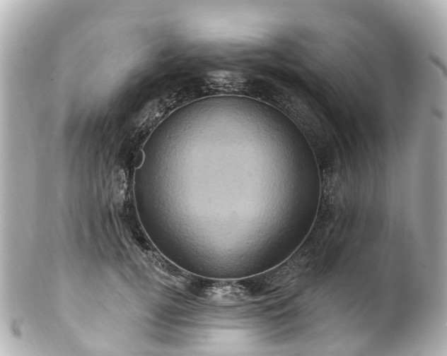 X0000100920752200807011306