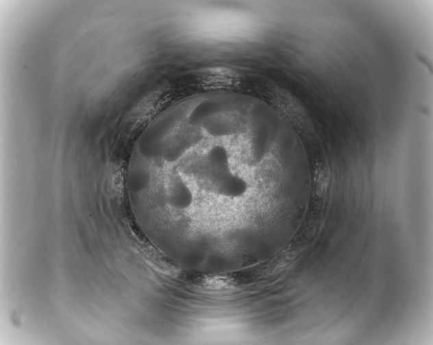 X0000100920753200807011306